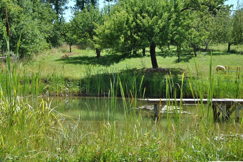 Gazdovsky Dvor "U Tlaciarov" Konuk evi Liptovský Trnovec Dış mekan fotoğraf